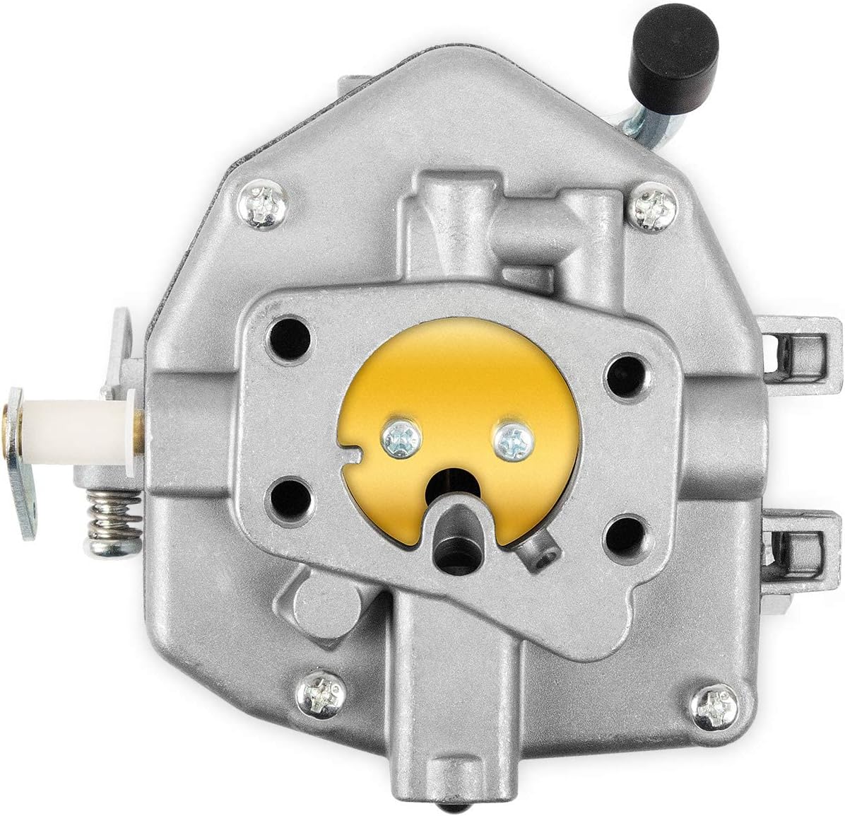 Carburetor with Fuel Filter Pack of 2 E82182