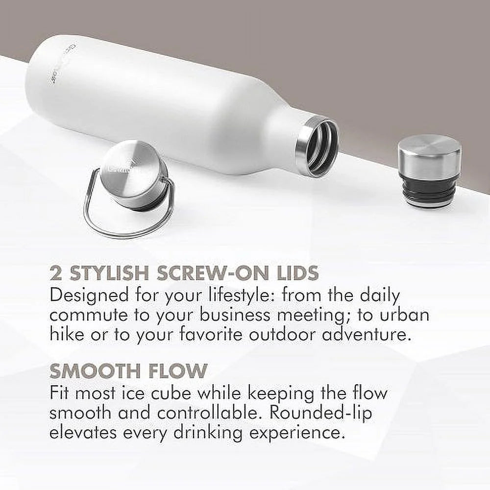 21oz Stainless Steel Water Bottle with 2 Lids D88668