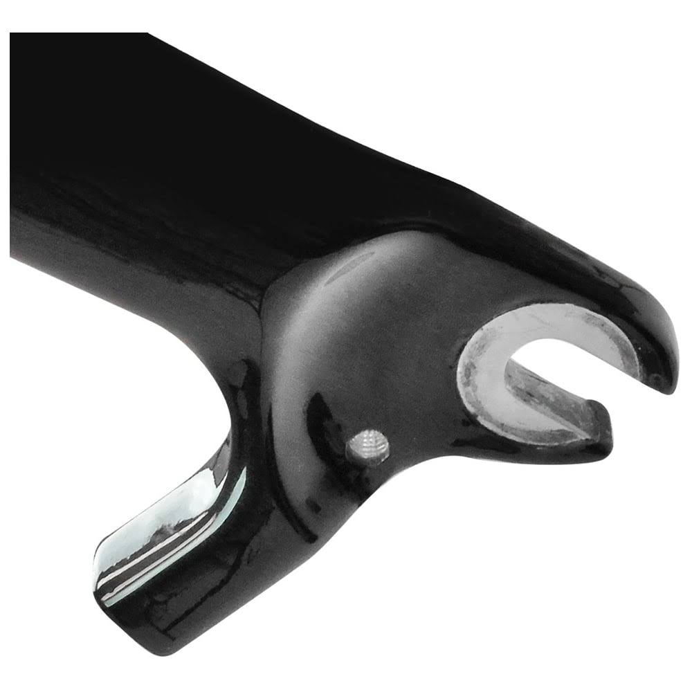 Black Fork Q31370