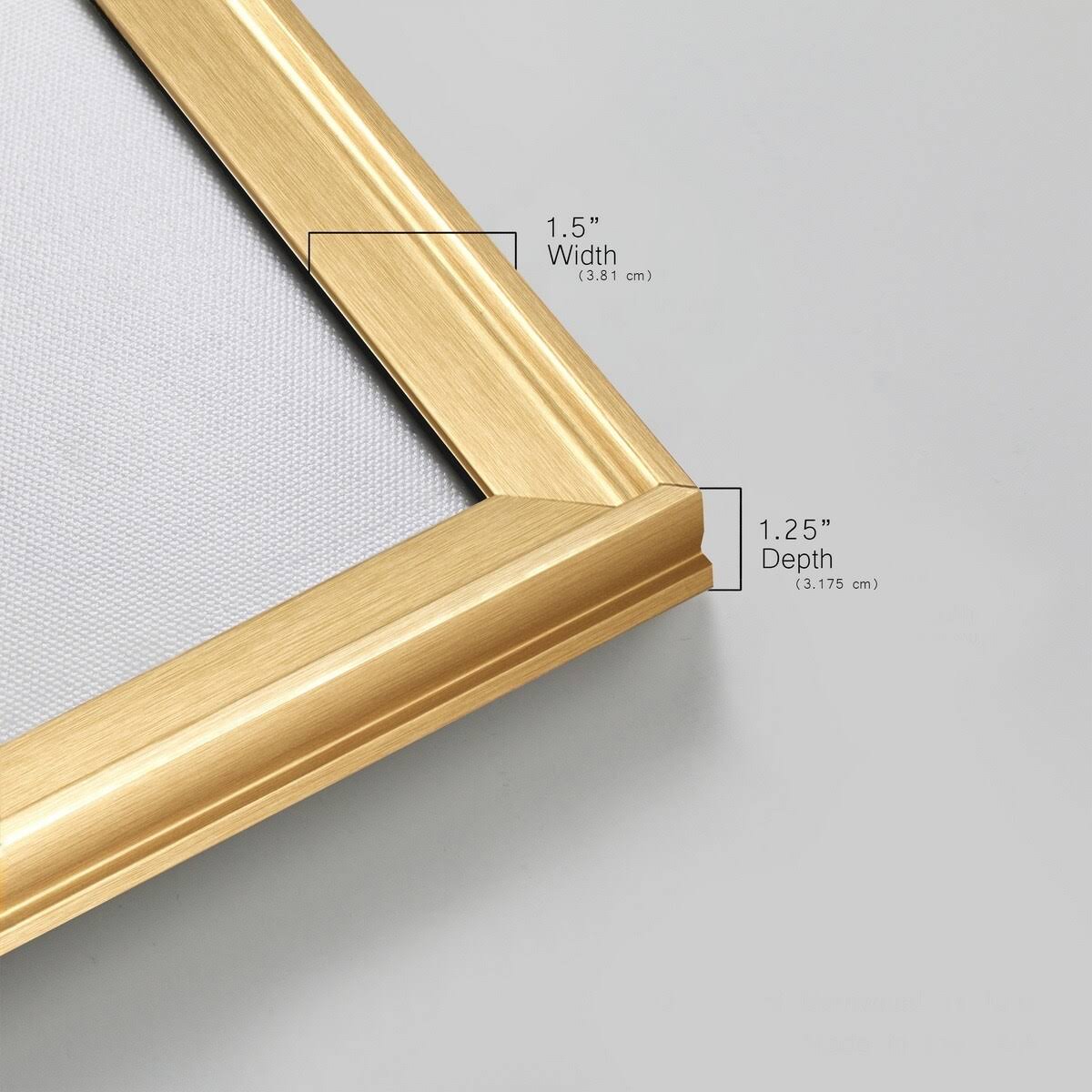 Silver 24x24 Canvas L421767