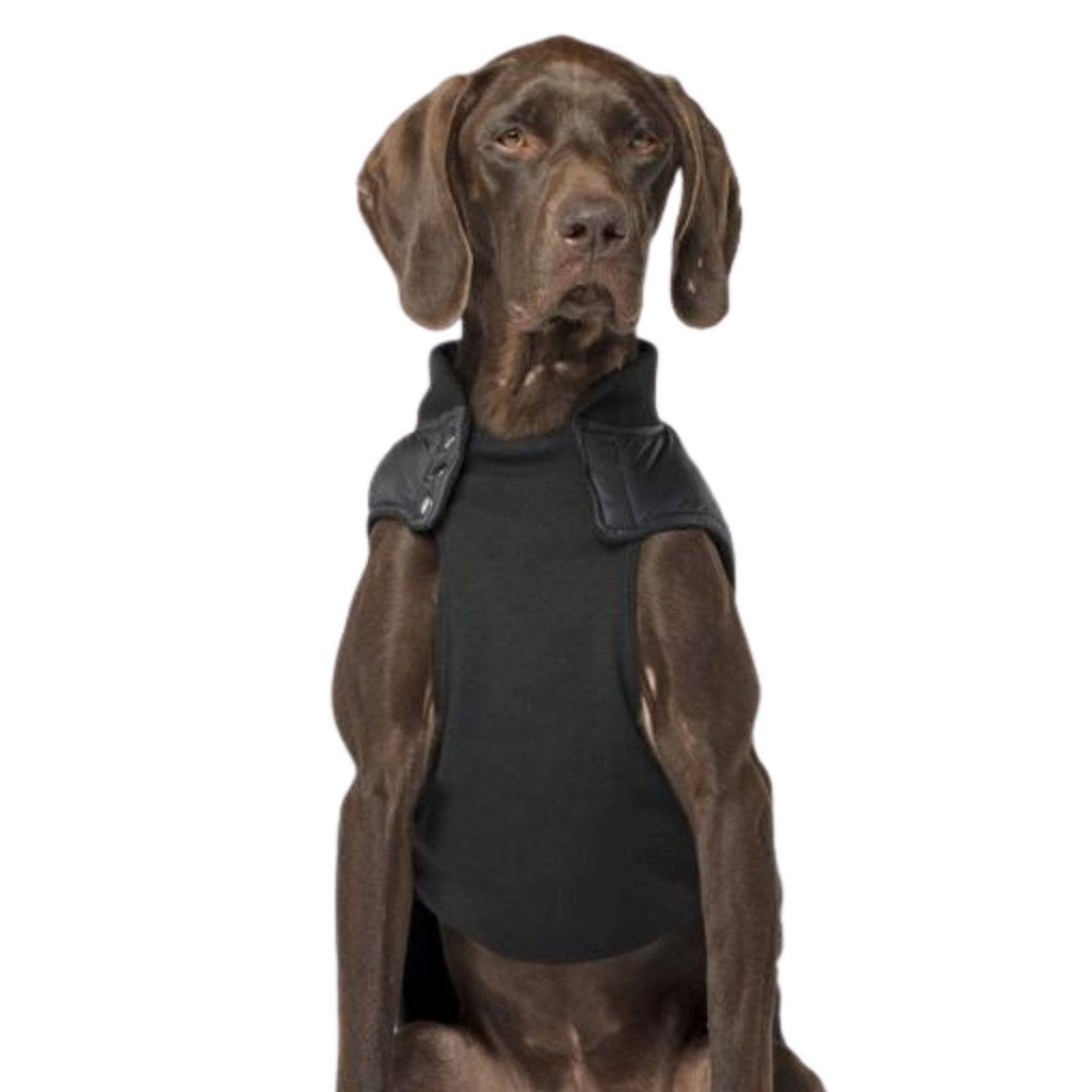 Summit Stretch Dog Vest E369992