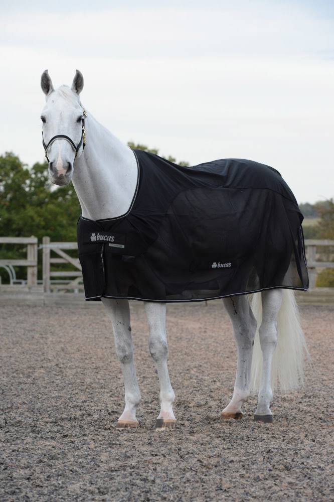 Black Competition Cooler G39152