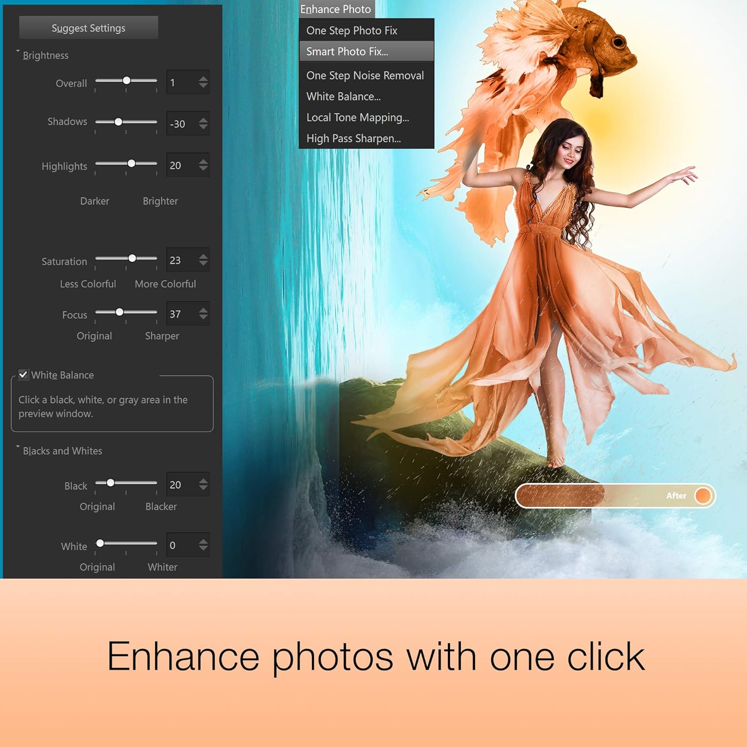 Photo Editing & Graphic Design Software [PC Download] H46460