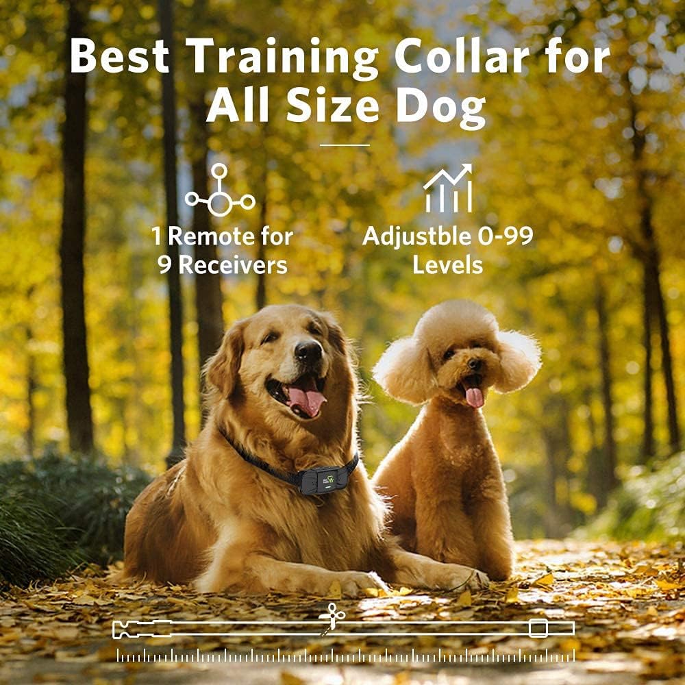 Rechargeable Dog Training Collar with Remote Pack of 2 C837424