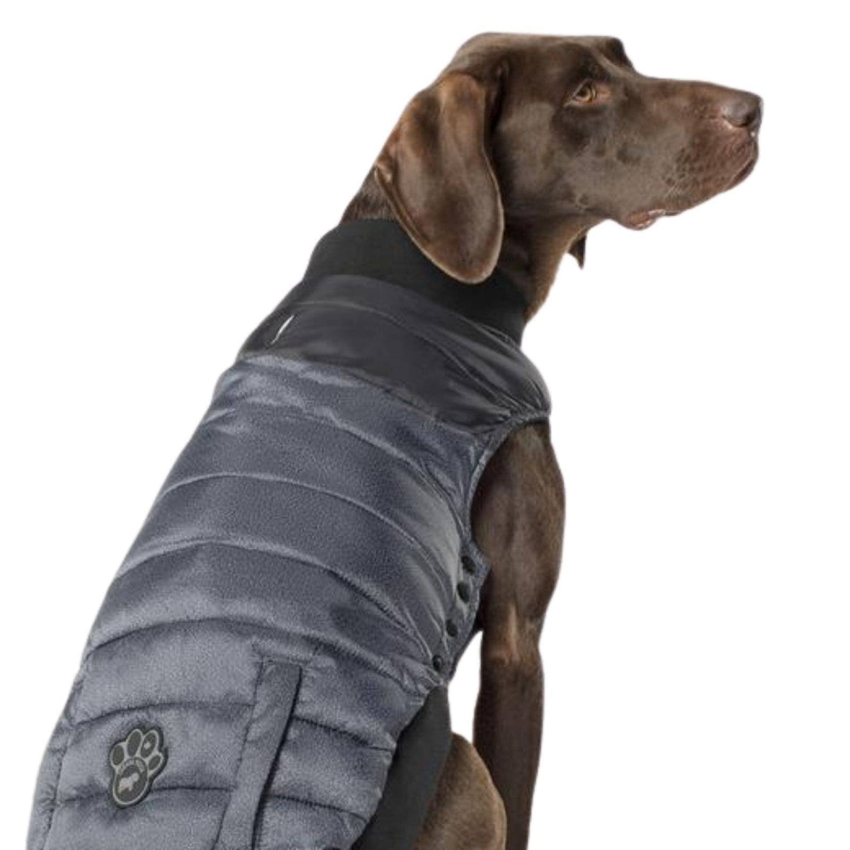 Summit Stretch Dog Vest E369992