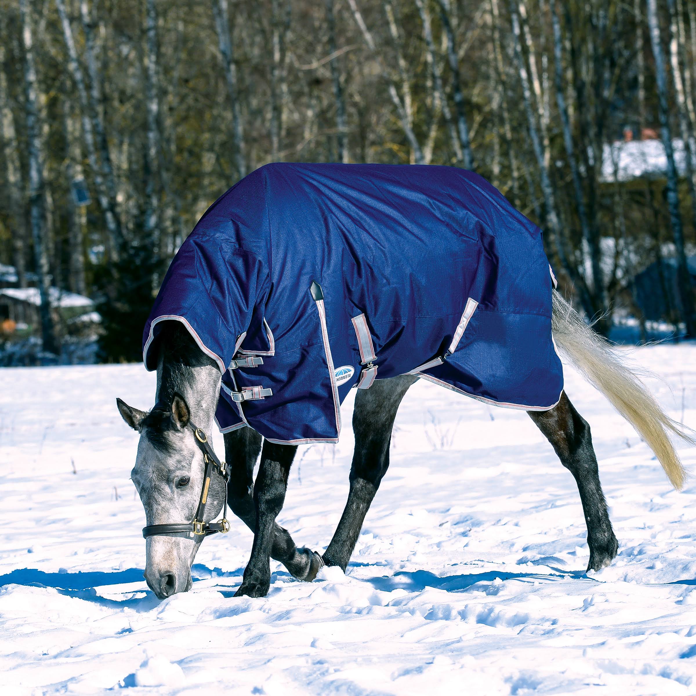 Navy/Silver/Red Combo Neck Medium Blanket H551366