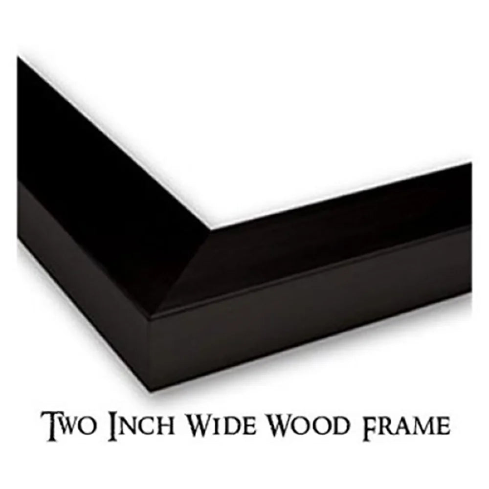 Black Modern Framed Museum Art Print B3200