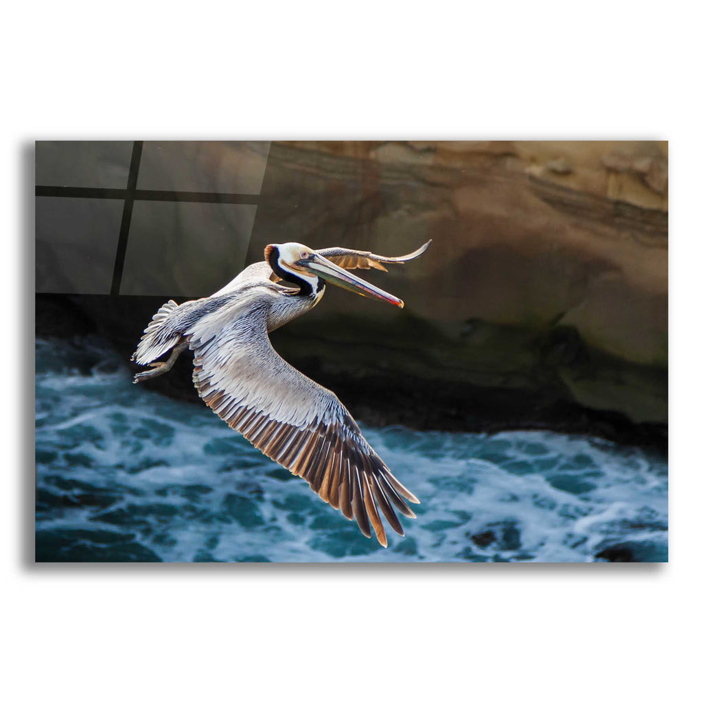 Acrylic Glass Wall Art, 24"x16" G9936