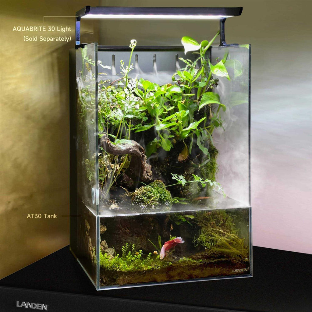Terrarium All in One with Light, Water Pump, Mist-Flower and Mat C988046
