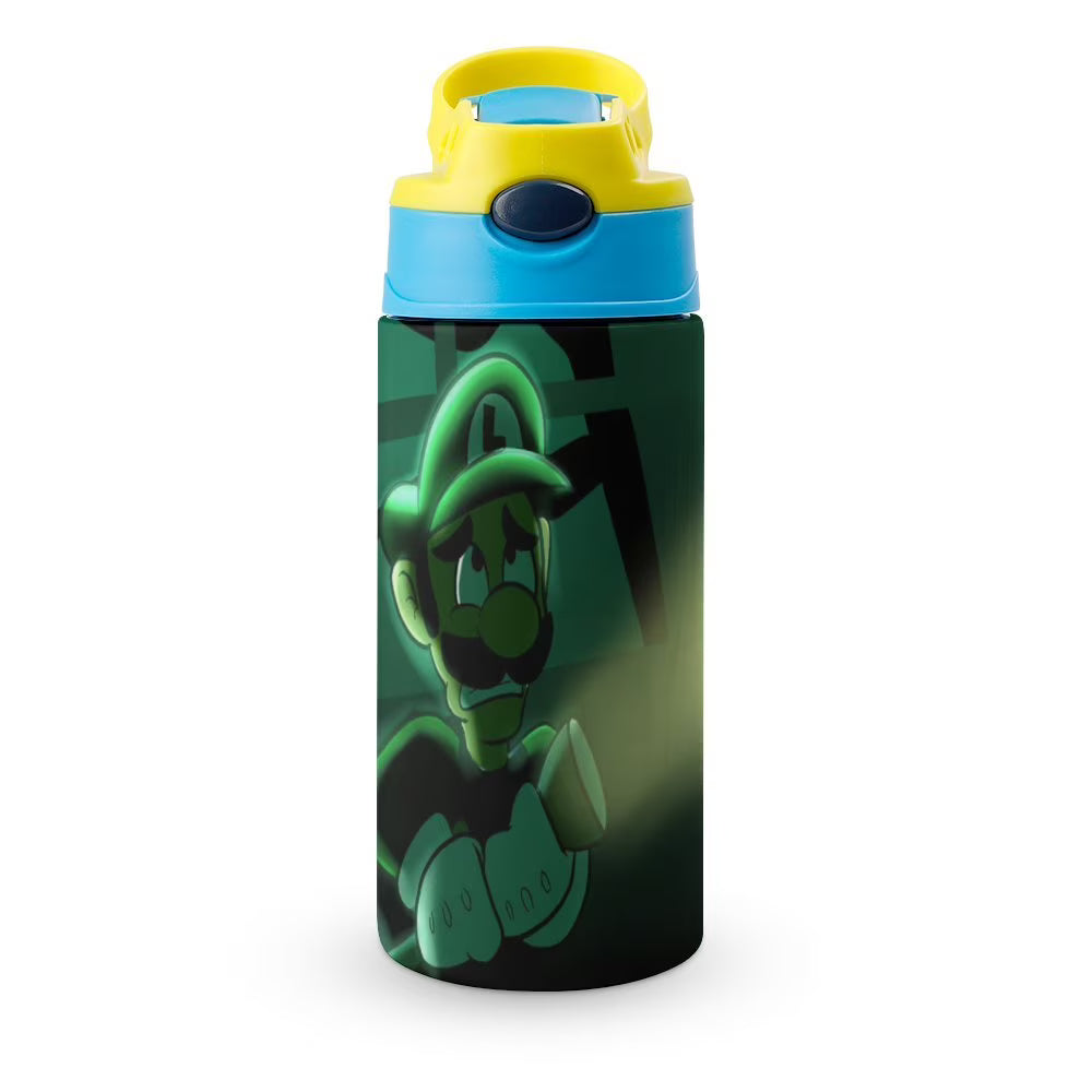 Insulated Stainless Steel Water Bottle with Straw W645