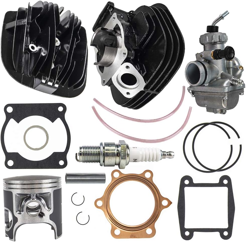 66mm 195cc Cylinder Head Carburetor Piston Top End Kit Y4945