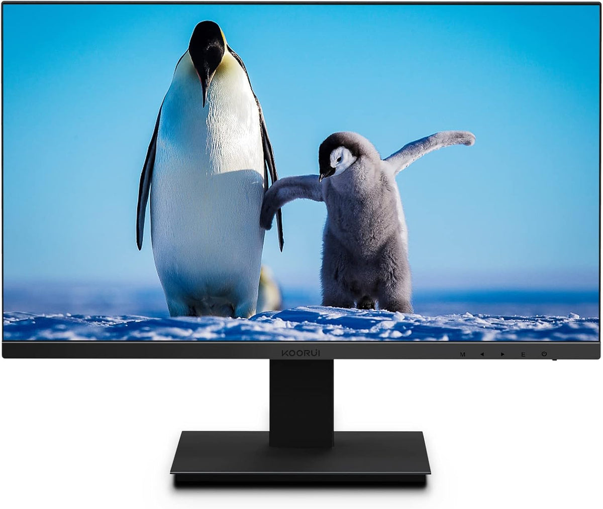 24 inch IPS FHD 1080p LED Monitor, 75Hz, Black X415764