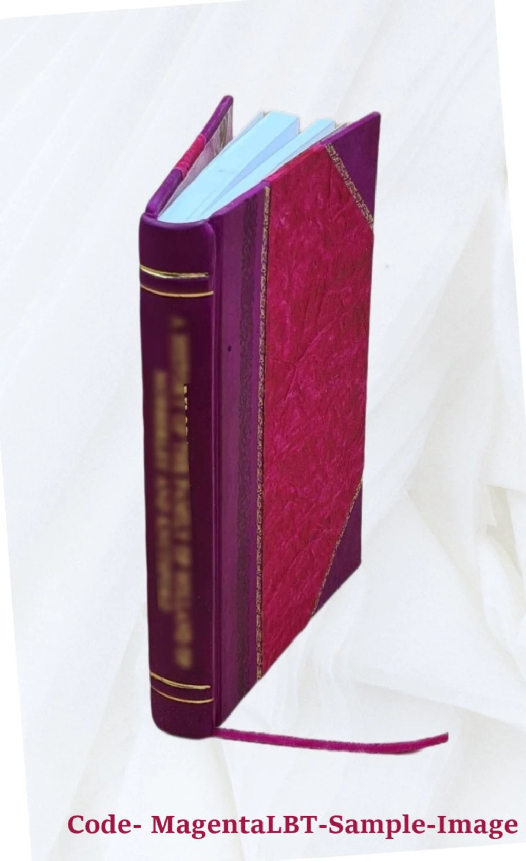 1918 Leather Bound Book Z6579
