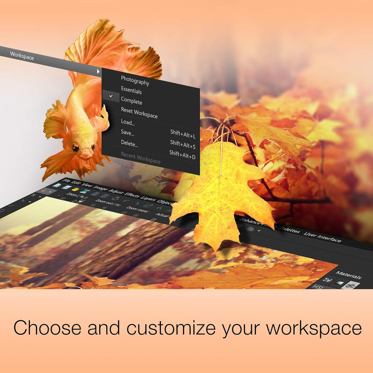 Photo Editing & Graphic Design Software [PC Download] H46460