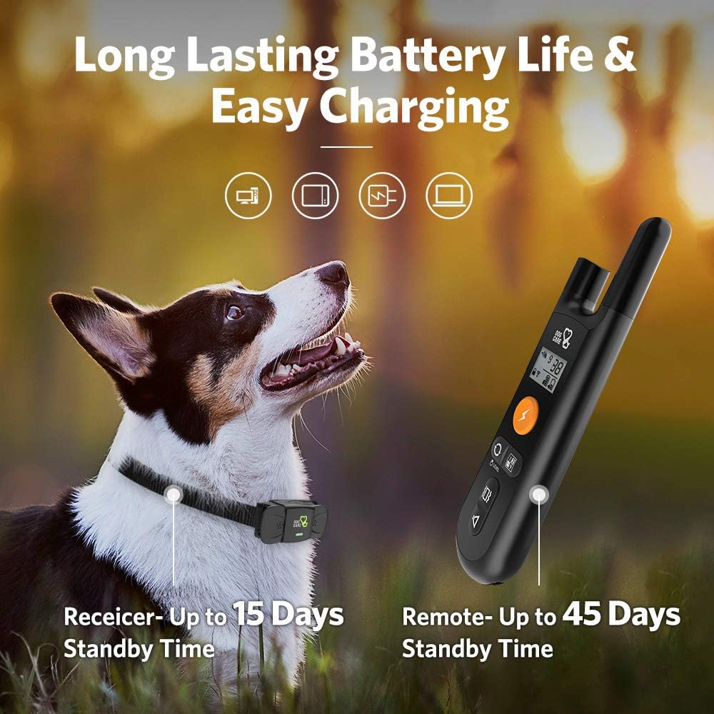 Rechargeable Dog Training Collar with Remote Pack of 2 C837424