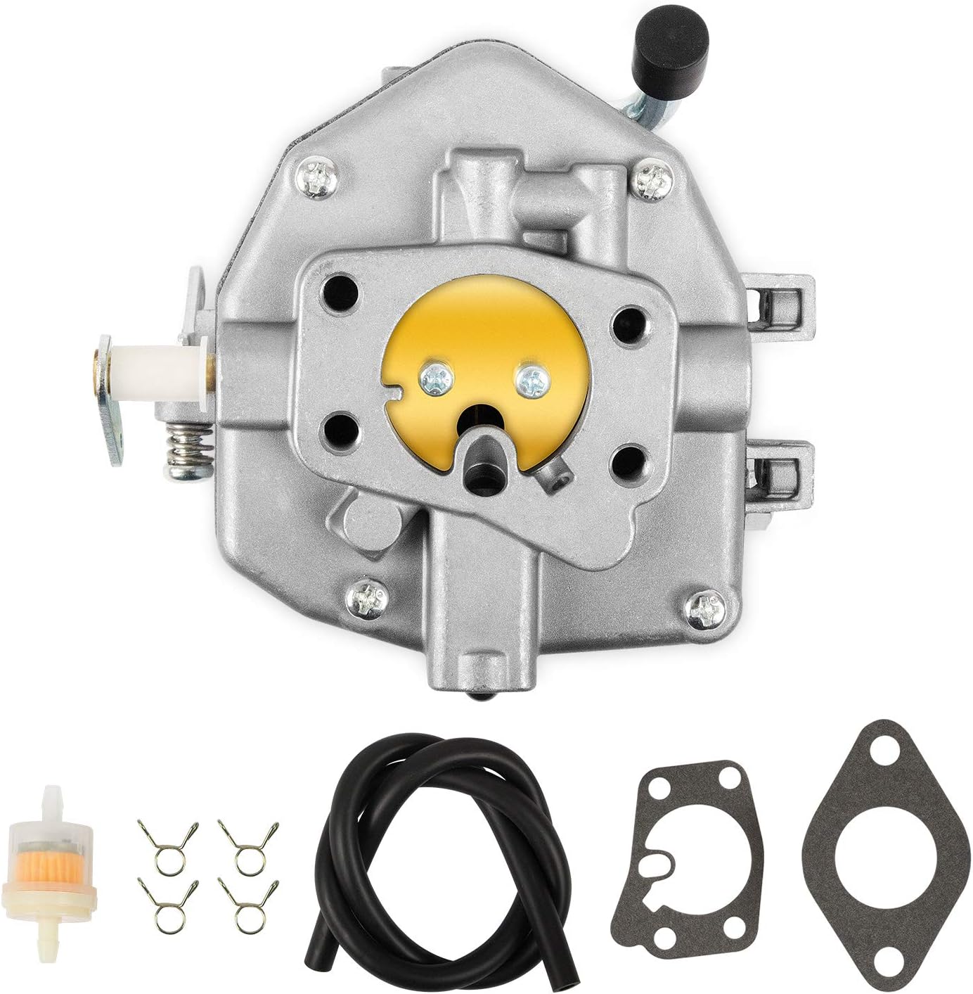 Carburetor with Fuel Filter Pack of 2 E82182