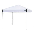 10x10 Canopy White/Gray A9066