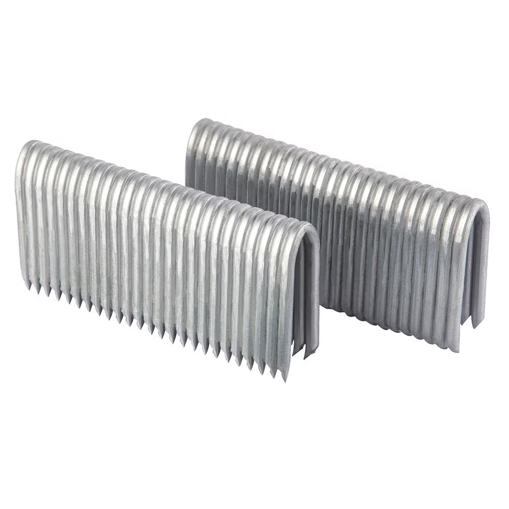 9-Gauge 2" Glue Collated Fencing Staples (1000 Count) J455854