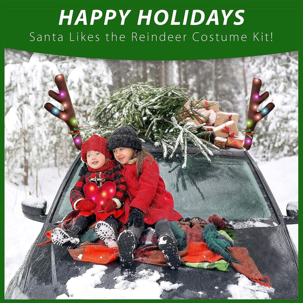 Car Reindeer Kit with LED Lights M31963