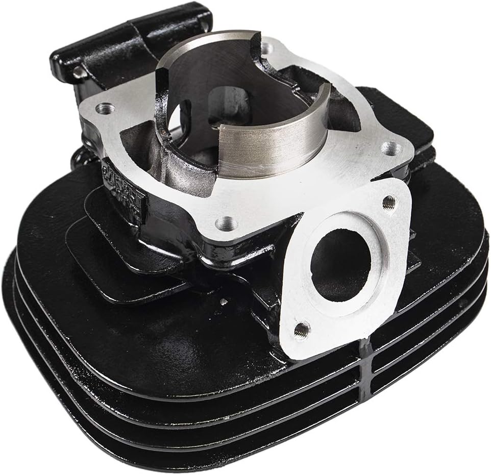 66mm 195cc Cylinder Head Carburetor Piston Top End Kit Y4945