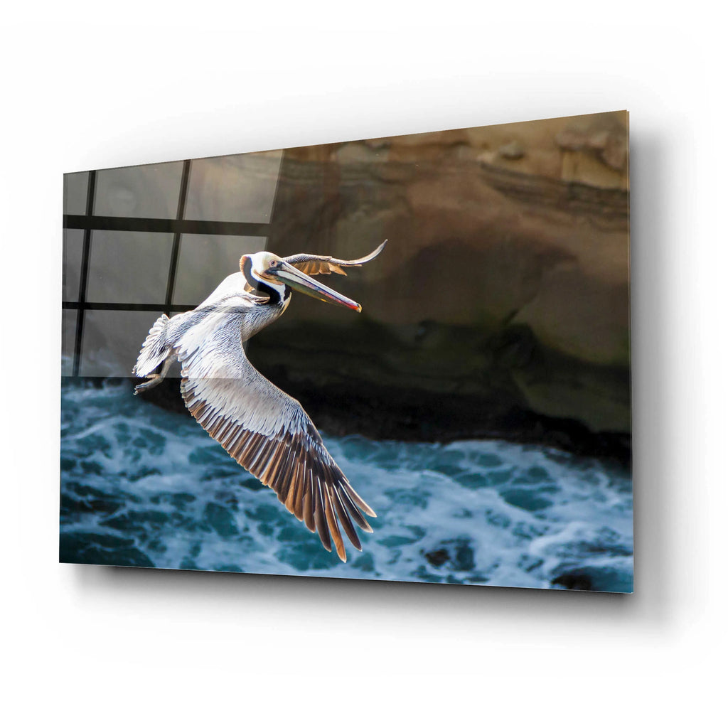 Acrylic Glass Wall Art, 24"x16" G9936