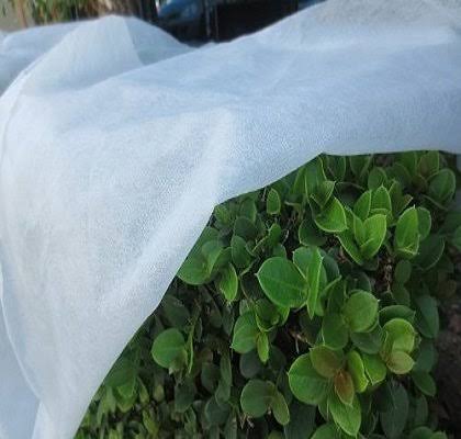 0.9oz 10x100ft Heavy Floating Row Cover and Plant Blanket F4535