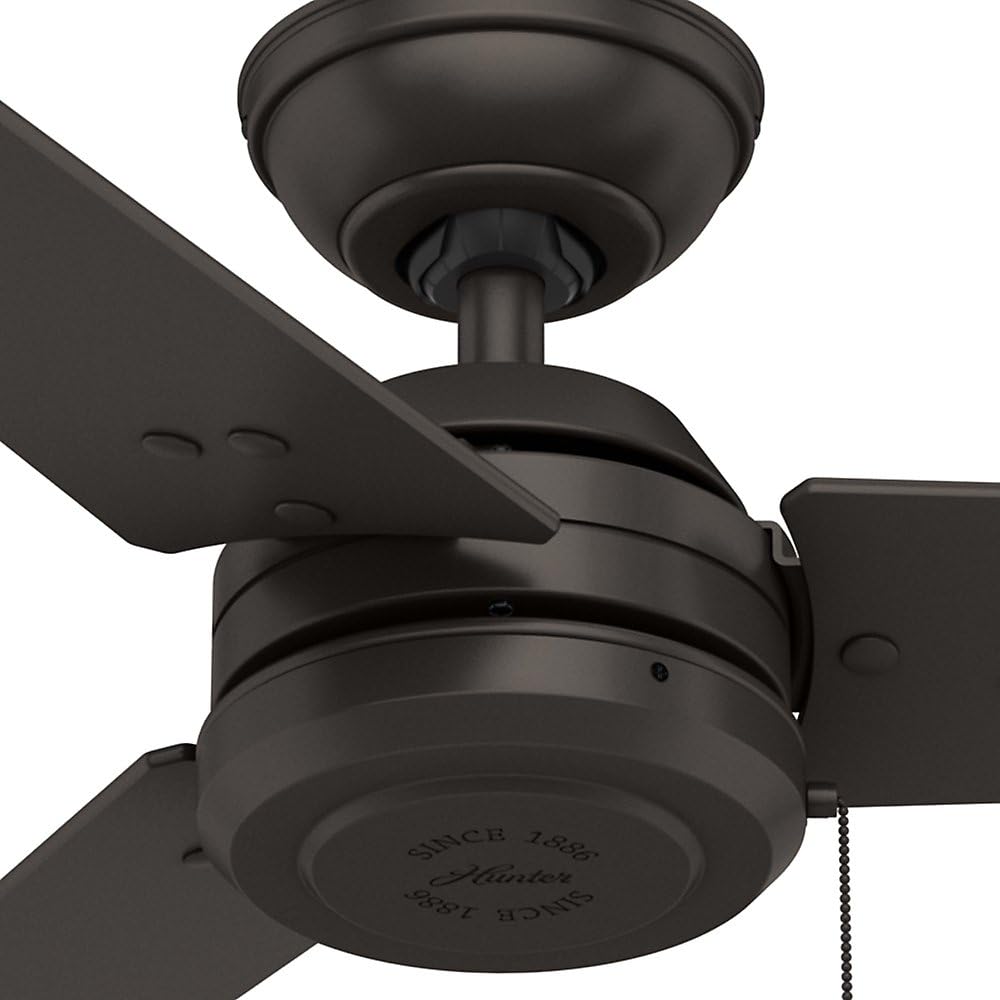 Premier Bronze 52 Ceiling Fan with Pull Chain Control P18257