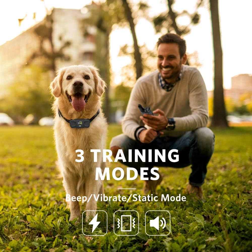 Rechargeable Dog Training Collar with Remote Pack of 2 C837424