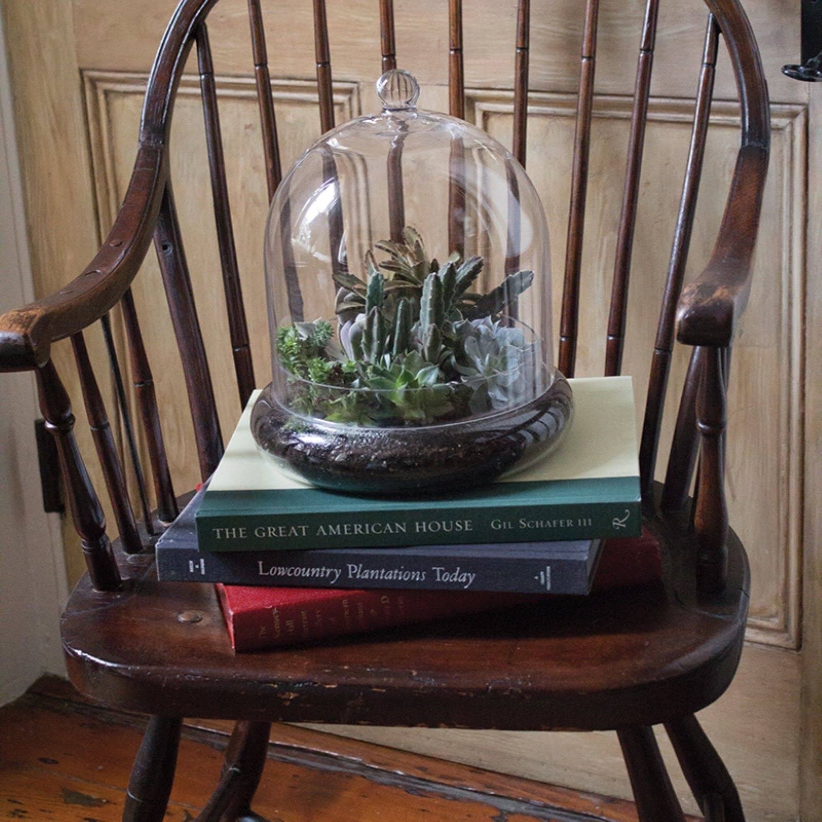Mini Greenhouse Terrarium Cloche A38293