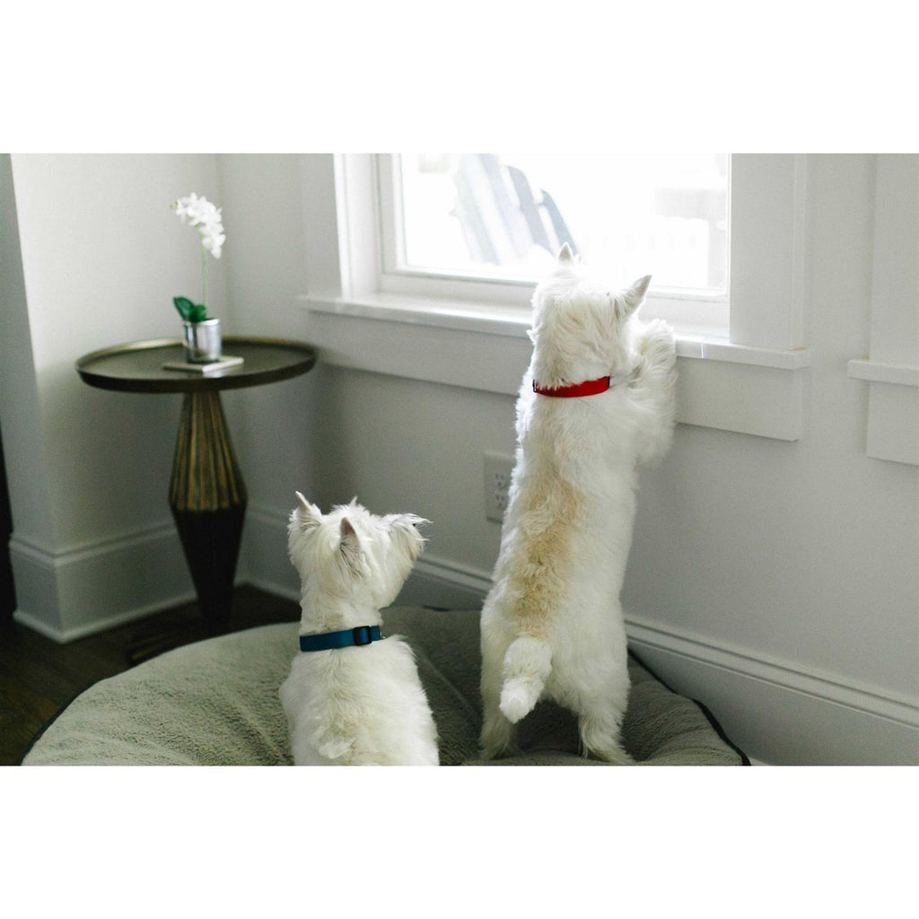 Transparent Window Sill Protector W748