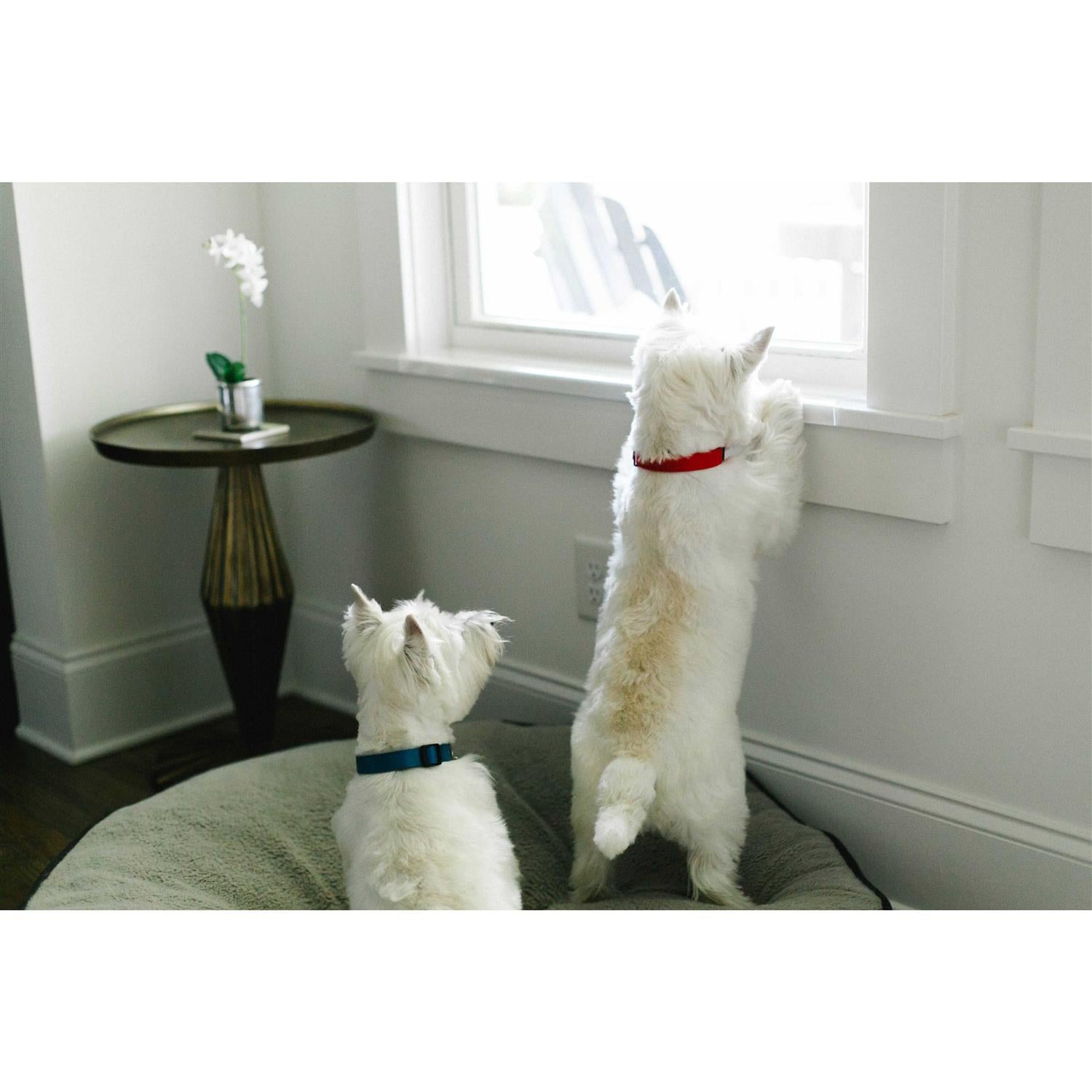 Transparent Window Sill Protector W748