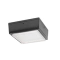 Bronze Vandalproof Canopy LED W32875