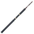 Salmon & Steelhead Spinning Rod I9606