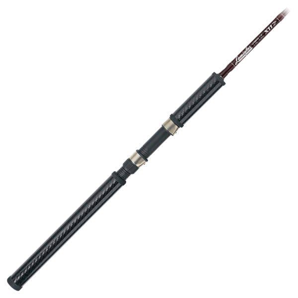 Salmon & Steelhead Spinning Rod I9606