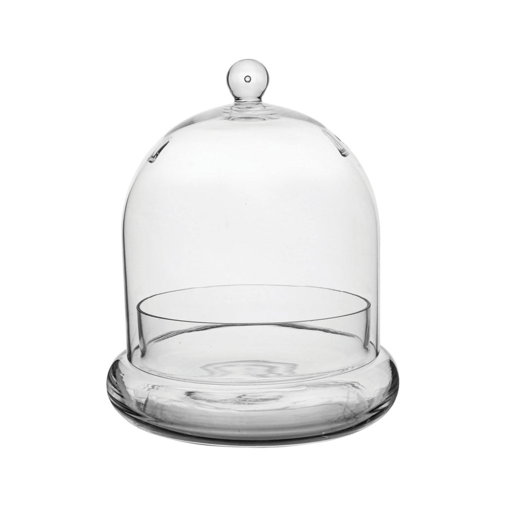Mini Greenhouse Terrarium Cloche A38293