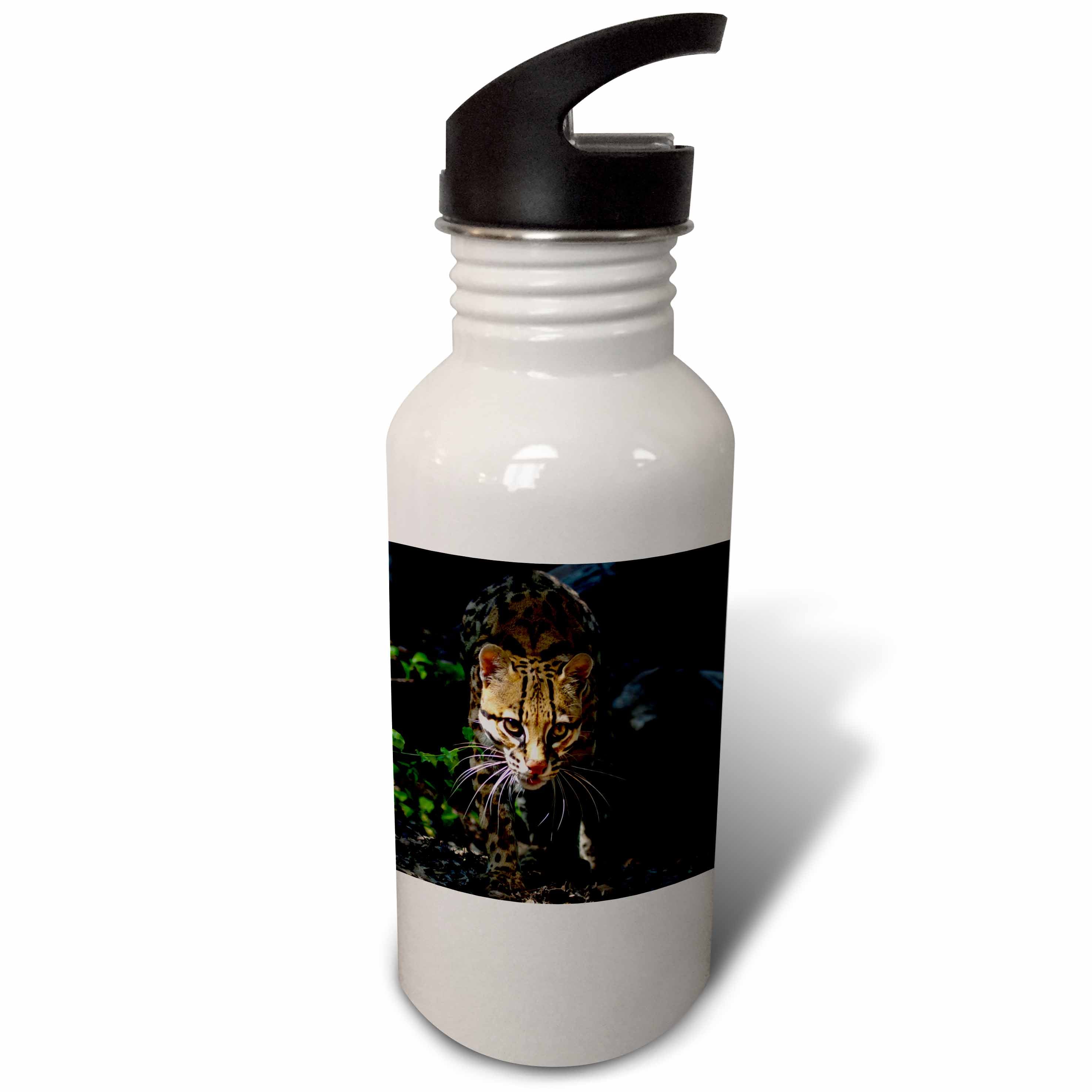 21 oz Sports Water Bottle A53740