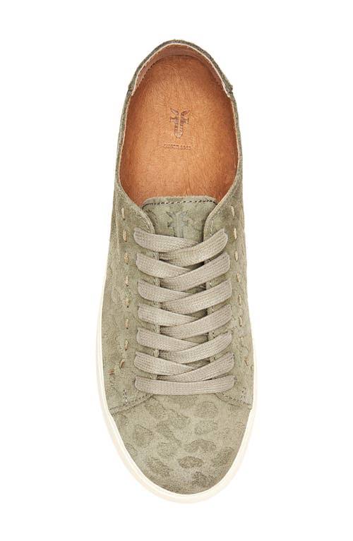 Olive Low Lace Boots O29246