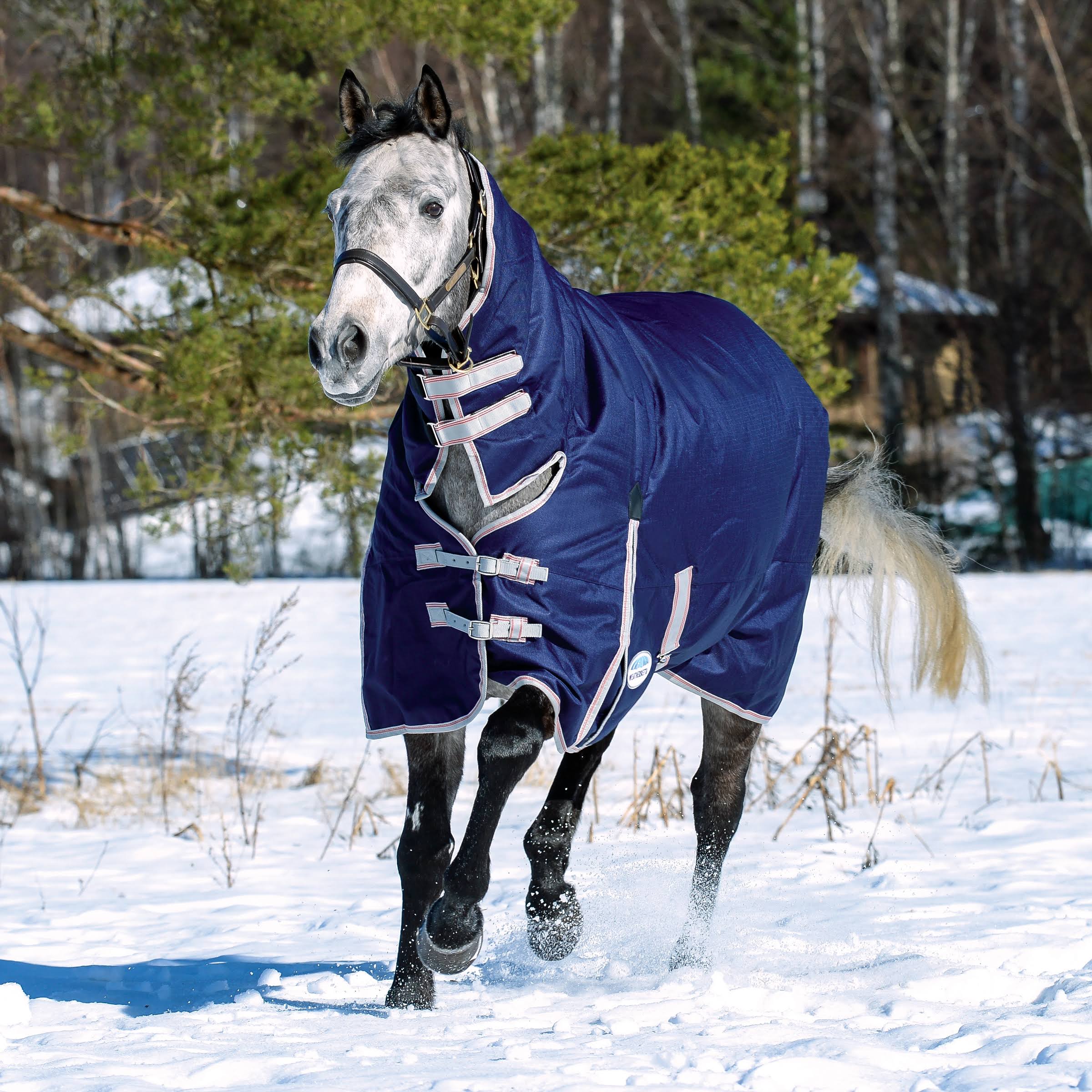 Navy/Silver/Red Combo Neck Medium Blanket H551366