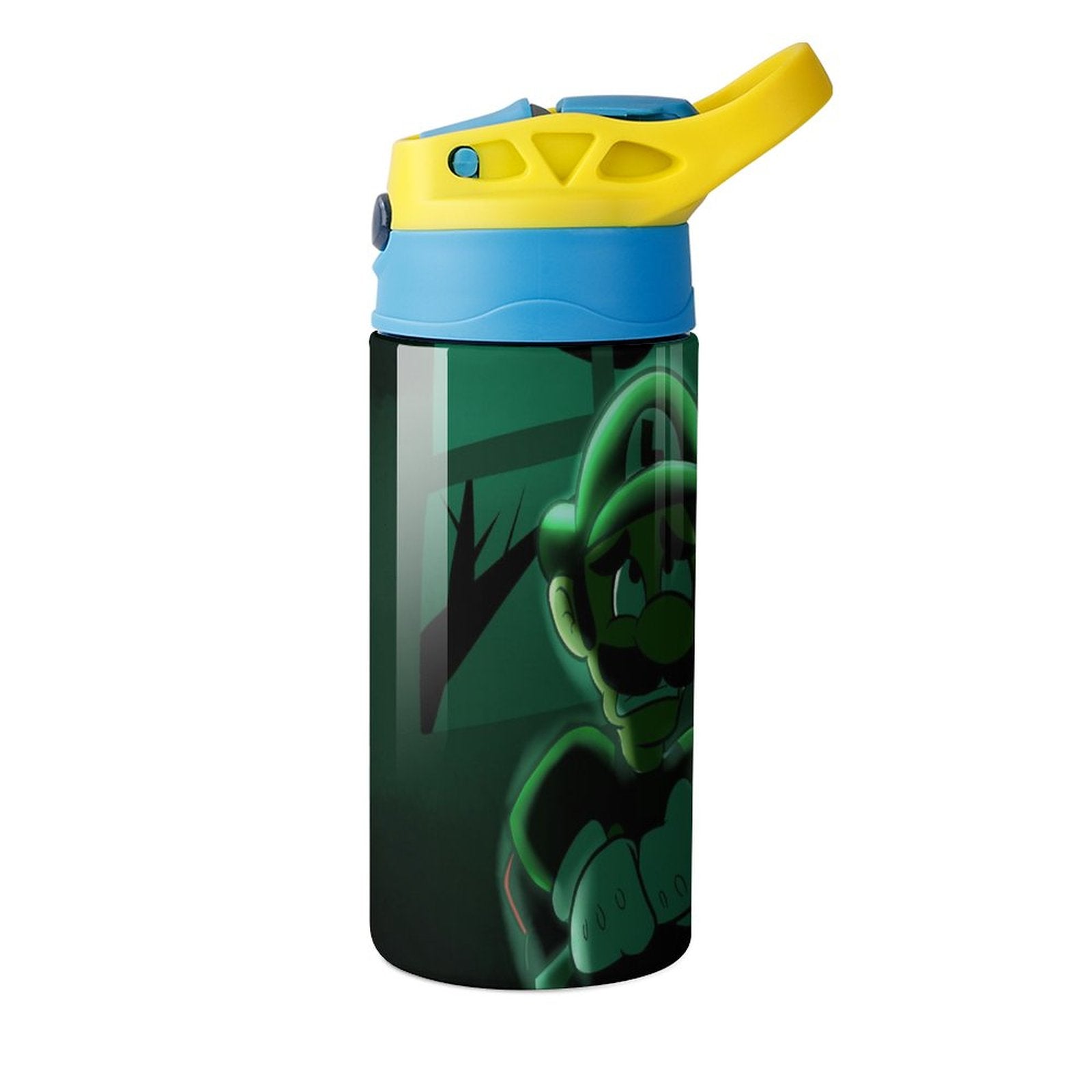 Insulated Stainless Steel Water Bottle with Straw W645