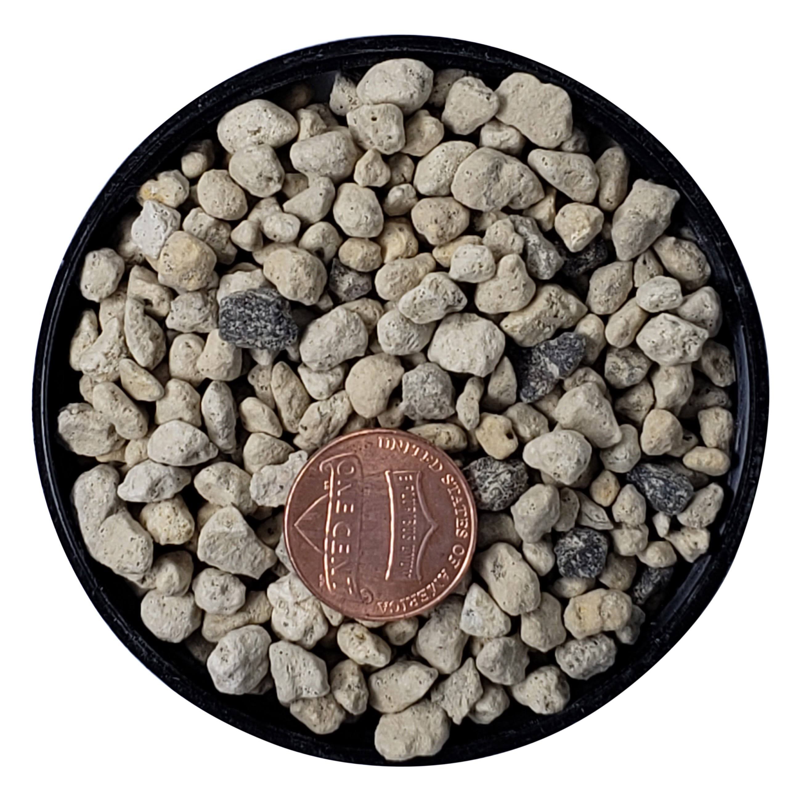 2.5 Quart Japanese Bonsai Soil W369860