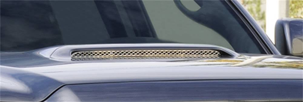 Hood Scoop Insert D67691