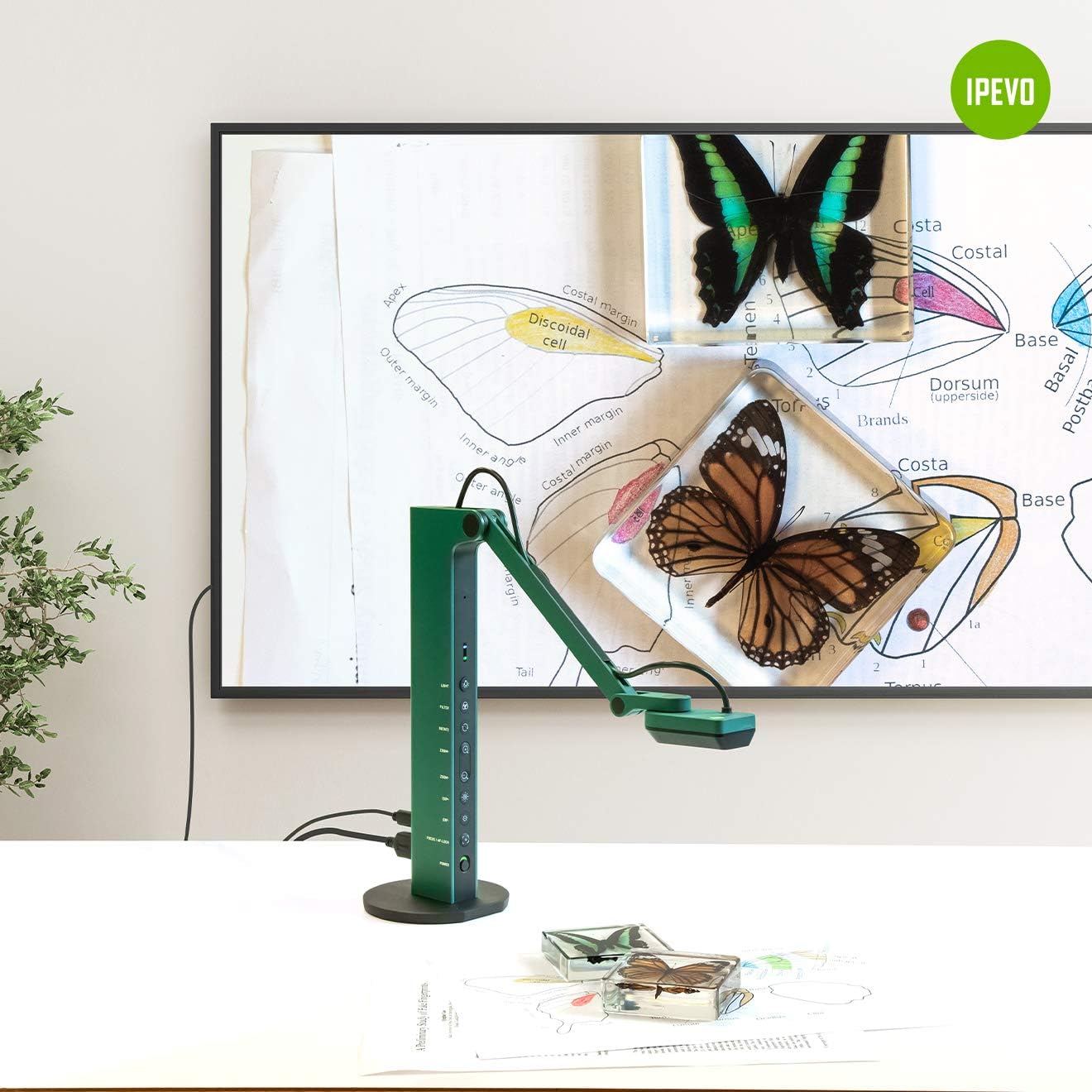 8MP HDMI/USB Dual Mode Visual Communication Tool R55157