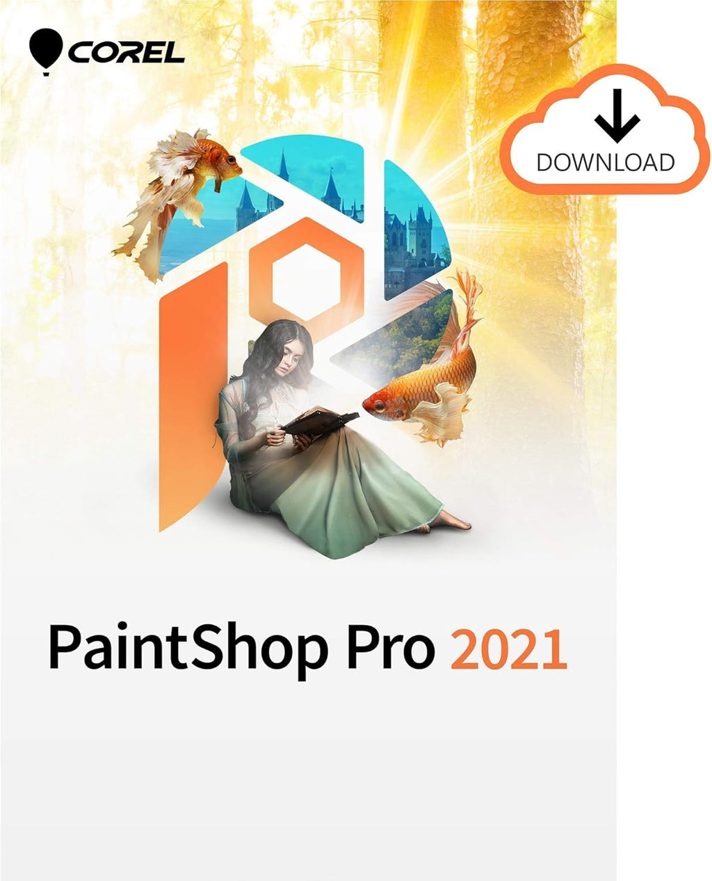 Photo Editing & Graphic Design Software [PC Download] H46460