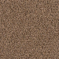 18 in. x 18 in. Peel and Stick Carpet Tile (10 Tiles/Case) C6371