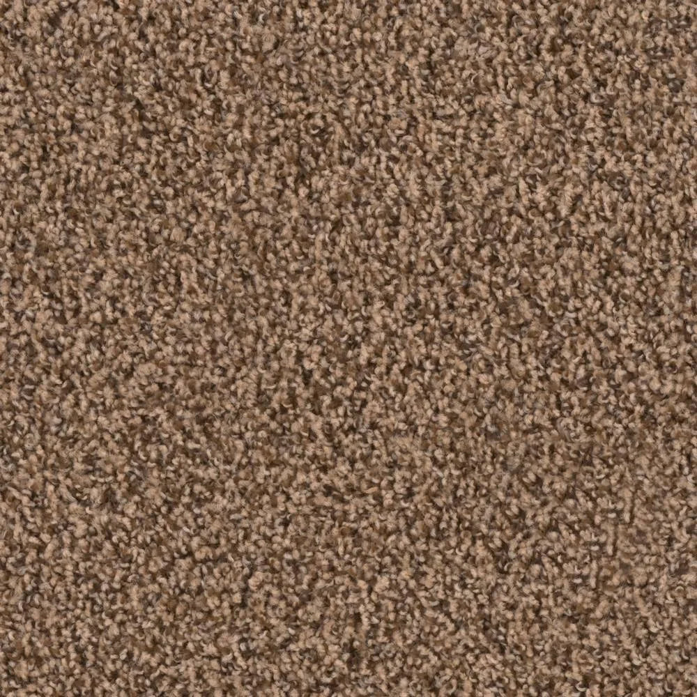 18 in. x 18 in. Peel and Stick Carpet Tile (10 Tiles/Case) C6371
