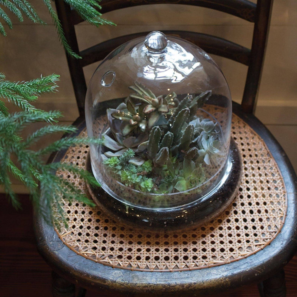 Mini Greenhouse Terrarium Cloche A38293